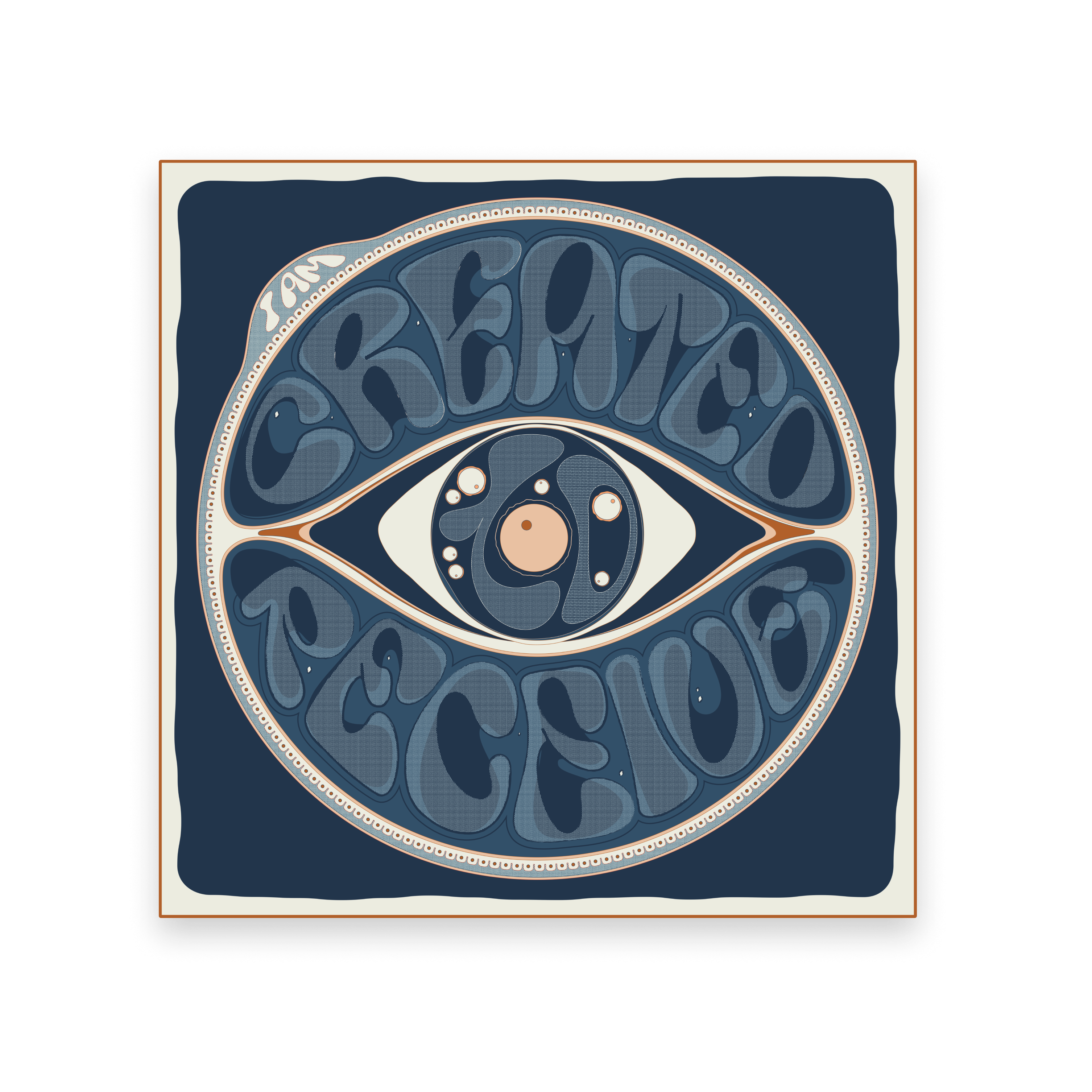 50/50/L — created to receive